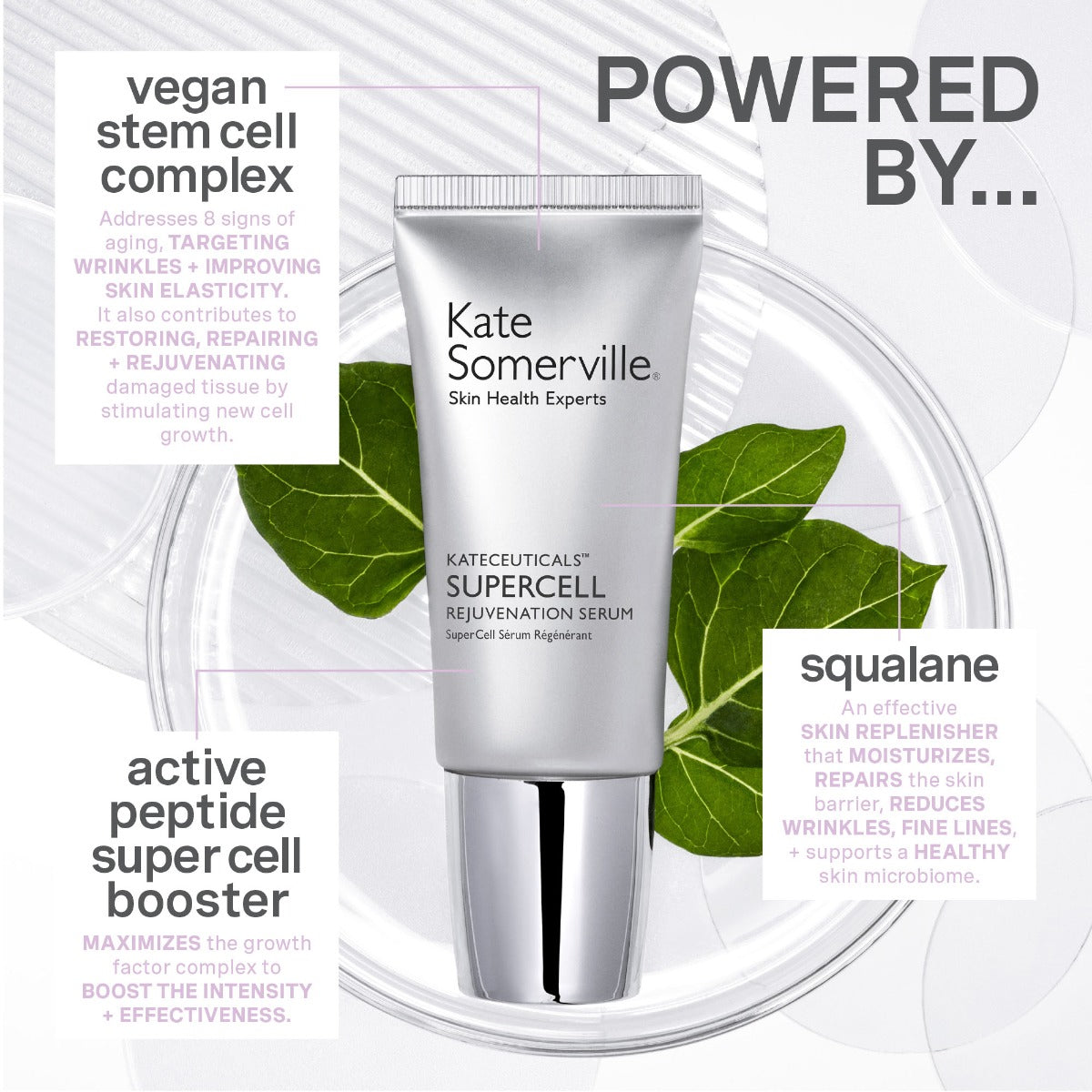 Kate Somerville Kateceuticals Supercell Rejuvenation Serum