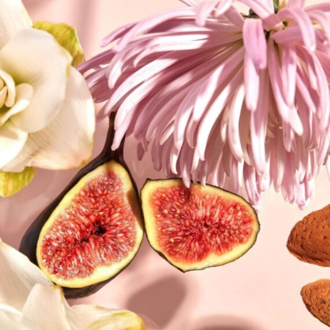 HAAN Body Lotion Tales Of Lotus