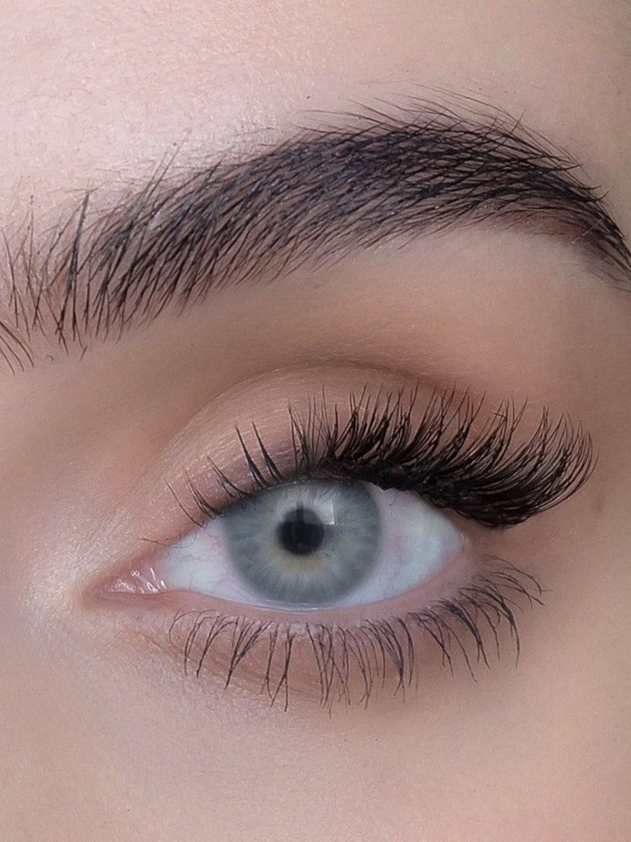 Sweed Tête à Tête - Brown
