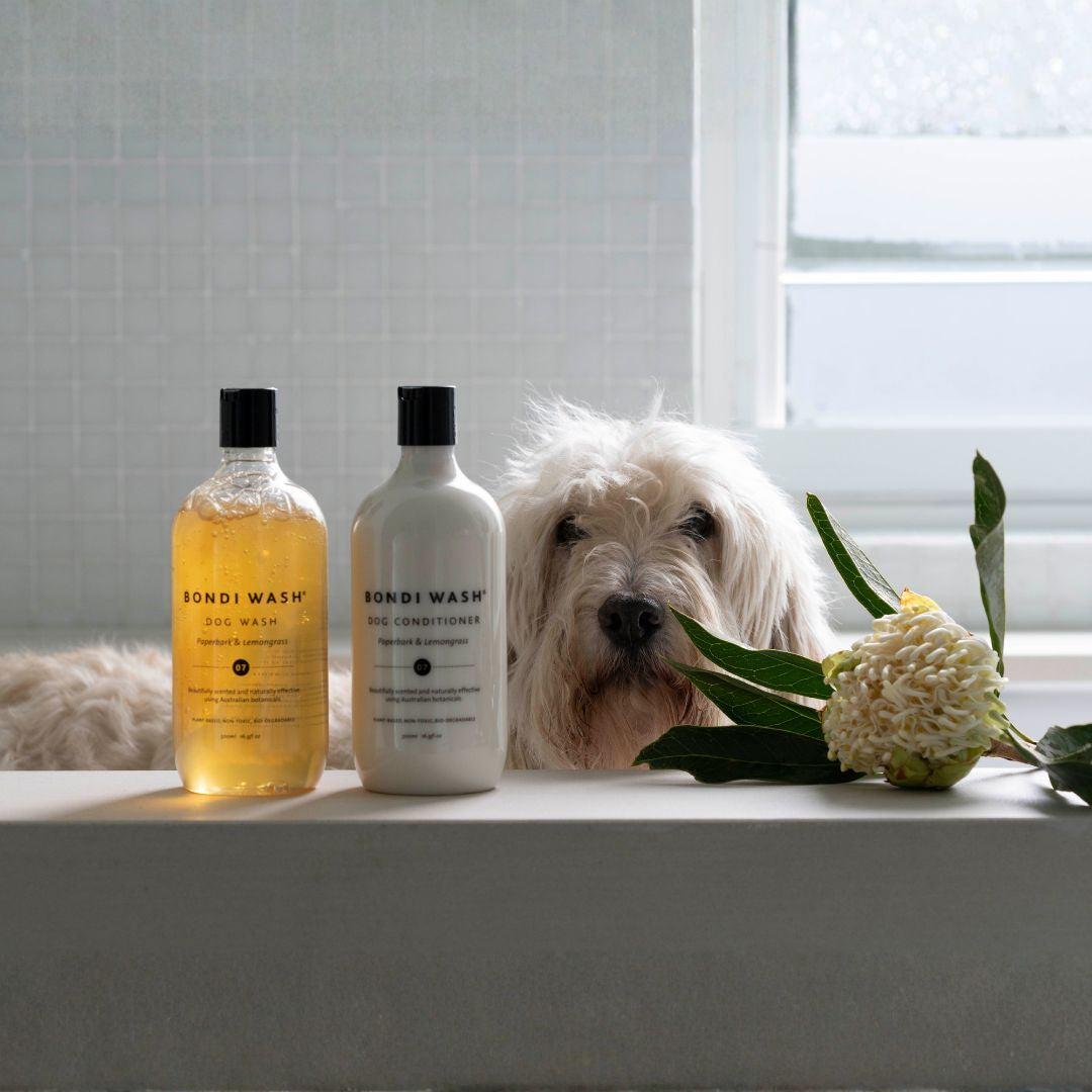 Bondi Wash Dog Conditioner Paperbark & Lemongrass 500ml