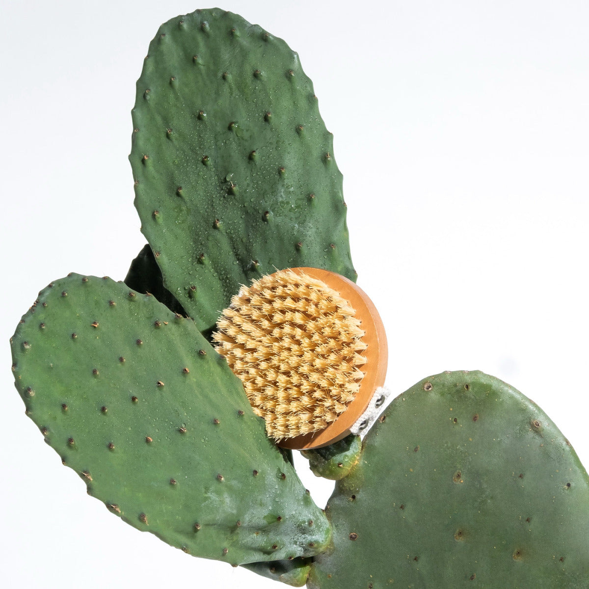 Legology Lymph-Lite Boom Brush For Body