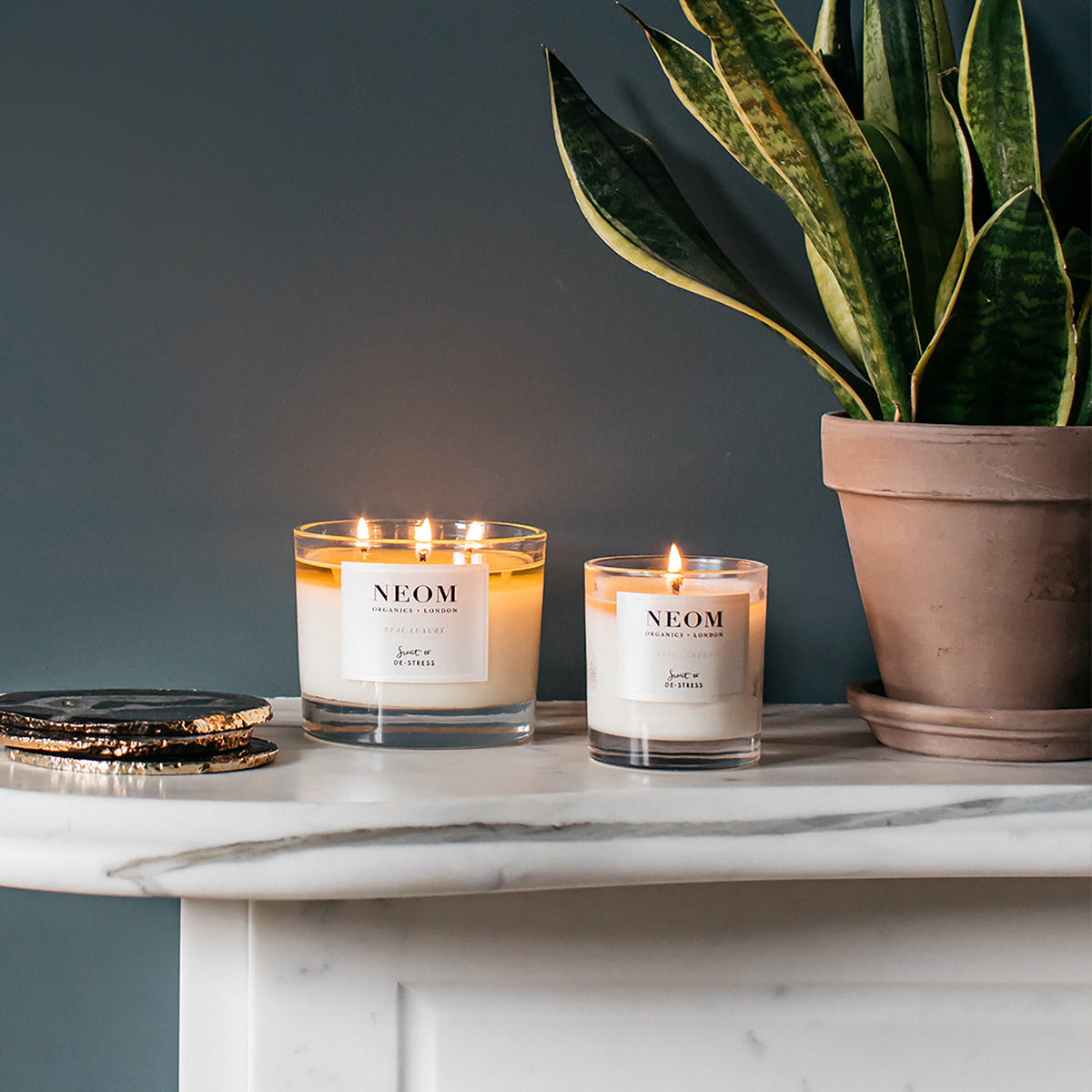 Neom Organics Real Luxury Scented Candle (3 Wicks)