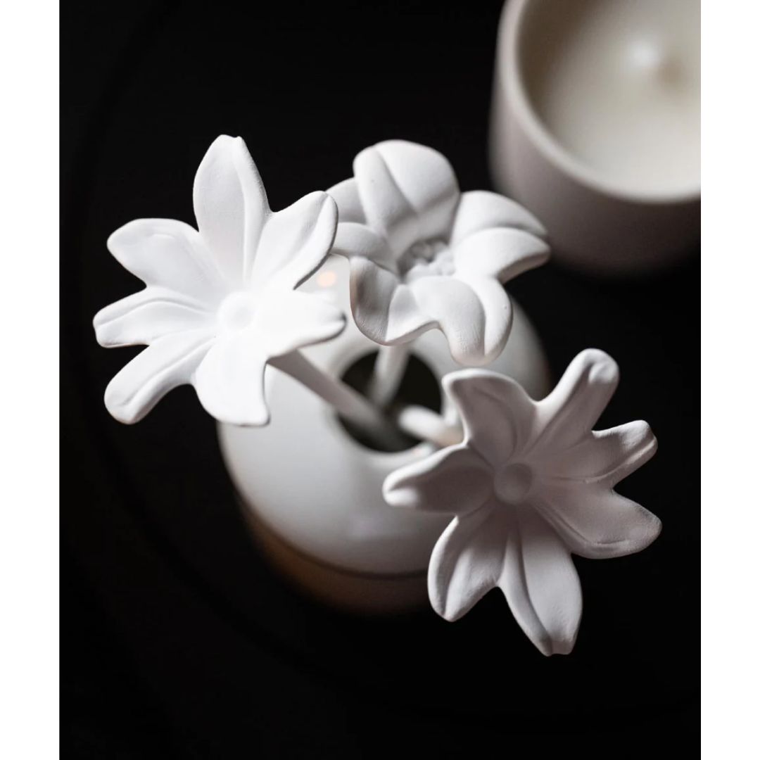 Grace De Monaco Promenade Sur Le Rocher Porcelain Diffuser